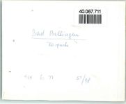 79415 W7848 Bad Bellingen , Baden FOTO KEINE AK Konzert im Park