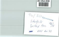 34414 W3530 Scherfede FOTO KEINE AK Gasthaus Rose