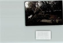 32683 W4924 Barntrup FOTO KEINE AK Park