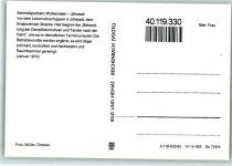 Dampflokomotive Baureihe 99 1583-6 Dampflokomotive