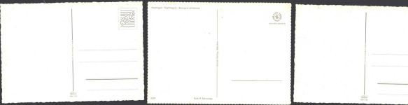 Lot mit 5 AK Vogel