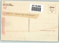 66994 W6783 Dahn - Braut und Bräutigam Felsen