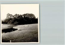 48629 W4439 Metelen - Foto 9x9cm
