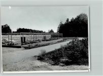 48629 W4439 Metelen - Foto TK80