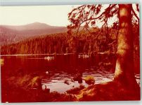 94249 W8373 Bodenmais FOTO KEINE AK Arbersee