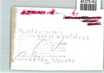 94249 W8373 Bodenmais FOTO KEINE AK Hotel Waldesruh