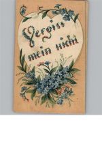 Vergiss mein nicht Blumensprache
