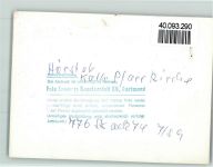 32791 W4937 Hörste , Lippe FOTO KEINE AK Kath. Pfarrkirche Denkmal