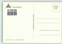 Steinkauz (Eule), gute Erhaltung Eule