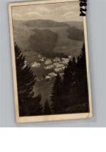 79837 W7821 Menzenschwand