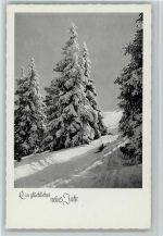Verschneiter Winterwald Neujahr