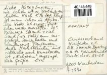 Kamel schaut auf die Frau AKU2 Kamel