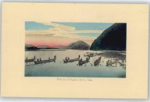 Gifu - Fischer
