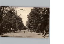 Braila