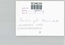 36277 W6436 Oberlengsfeld - Gaststube,(keine Ak-Einteilung)