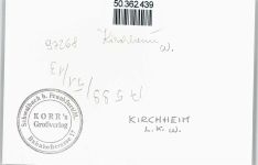 97268 W8701 Kirchheim , Unterfr - Foto-Karte