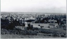 76887 W6748 Bad Bergzabern - Foto
