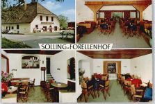 37697 W3471 Lauenförde - Forellenhof