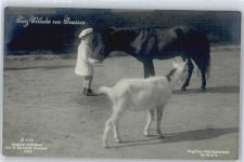 mit Pferd und Ziege Adel Prinz Wilhelm