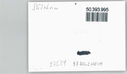 97529 W8722 Sulzheim , Unterfr - Foto-Karte
