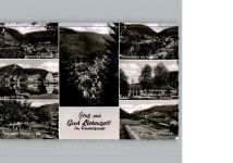 75378 W7263 Bad Liebenzell - Schwimmbad