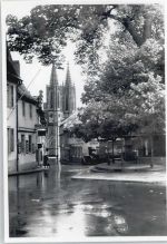 65366 W6222 Geisenheim , Rheingau - Foto-Karte