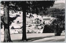 79868 W7828 Altglashütten , Schwarzw
