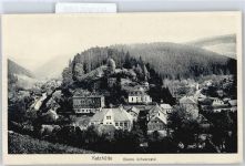 98746 O6424 Katzhütte