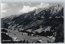 87544 W8976 Gunzesried - Säge