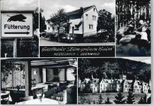 64754 W6121 Hesselbach , Odenw - Gasthaus Pension zum grünen Baum