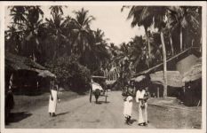 Colombo