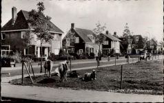 9201 Drachten