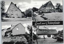 49186 W4505 Ostenfelde