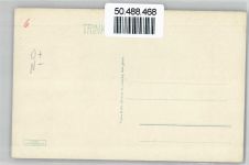 91541 W8803 Rothenburg ob der Tauber - Baum Mauer Wiese Tor