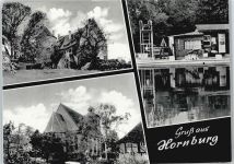 38315 W3342 Hornburg , Kr Wolfenbüttel - Schwimmbad Sprungbrett Haus Baum
