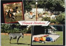 48527 W4460 Nordhorn - Tierpark Zebra