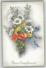 Mohnblume Weihnachten