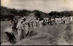 Colombo - Ceylon