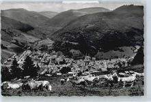 79674 W7868 Todtnau