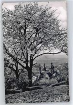 64646 W6148 Heppenheim (Bergstraße) - gel. 26.3.59, St. Peters-Dom