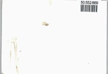 35274 W3575 Kirchhain - Foto-Karte