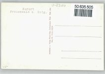 98711 O6304 Frauenwald - Kuh