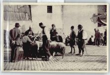 Sarajevo Sarajewo - Ziegenmarkt