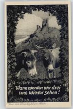 53639 W5330 Drachenfels - Burg