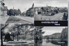 38899 O3723 Hasselfelde - Markt, Siedlung, Teich