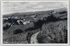 79424 W7841 Auggen - Teilansicht, Weinanbau