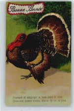 Truthahn , Prägedruck Thanksgiving