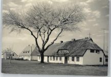 18565 O2359 Insel Hiddensee - Siedlung