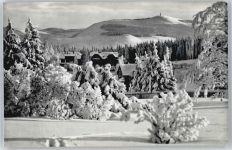 98559 O6055 Oberhof , Thüringen - Blick zum Schneekopf