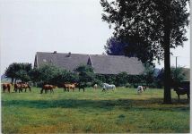 48329 W4409 Havixbeck - Hof Mormann
